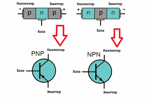 Коллектор