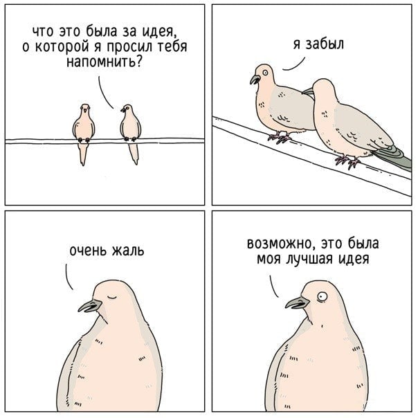 Подборка картинок 04.05.2023