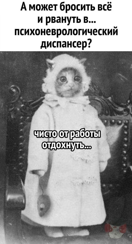 А не мудак ли я?