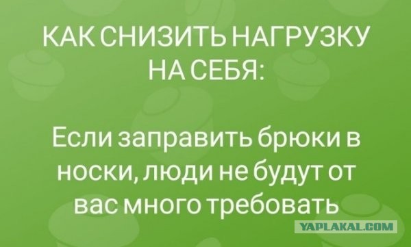 Весёлый полтишок 11.08.23