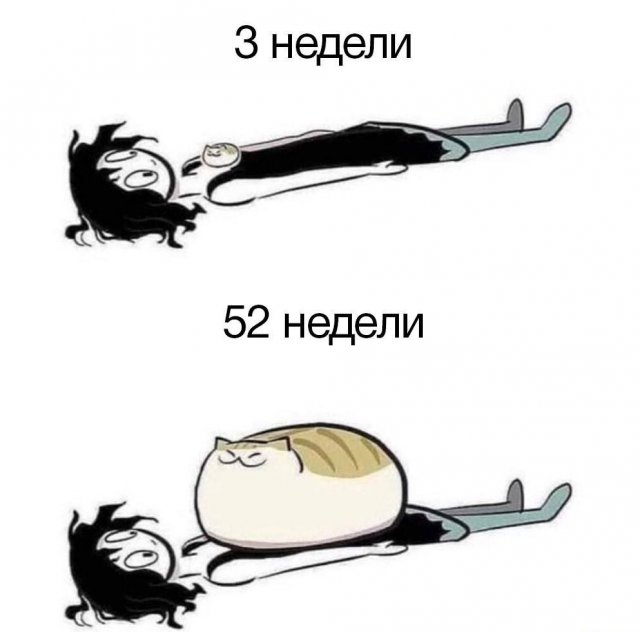 Так себе картинки 21.08.23