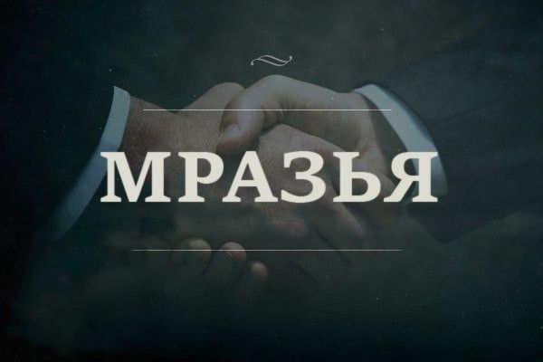 Дачный курятник