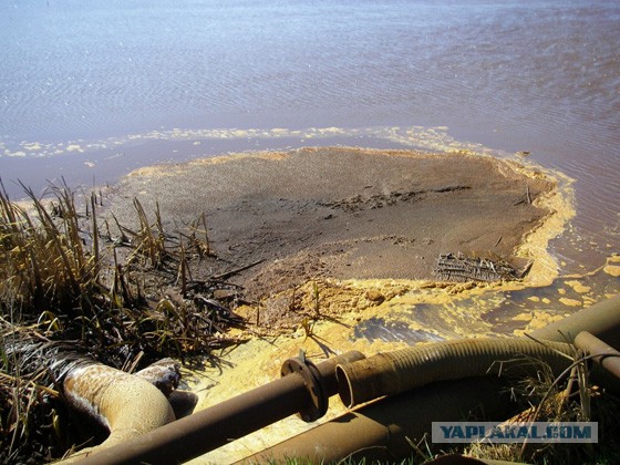 Что бывает с теми, кому больше всех надо.