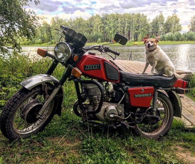 Ностальгни по былым временам, когда стоял крепче
