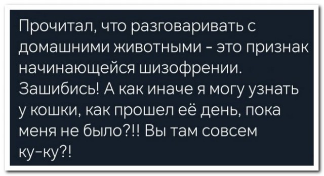Забавные комментарии из социальных сетей (21.05.24)