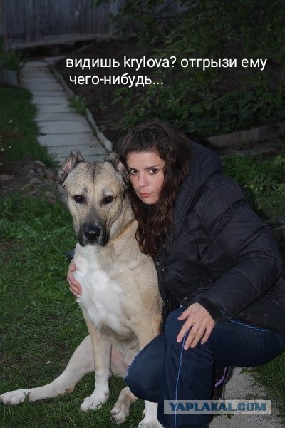 Давайте лица