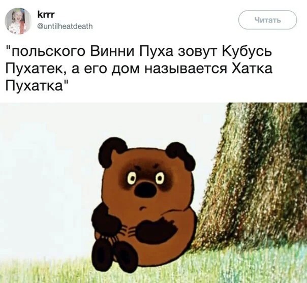 Весёлый полтишок 02.07.24