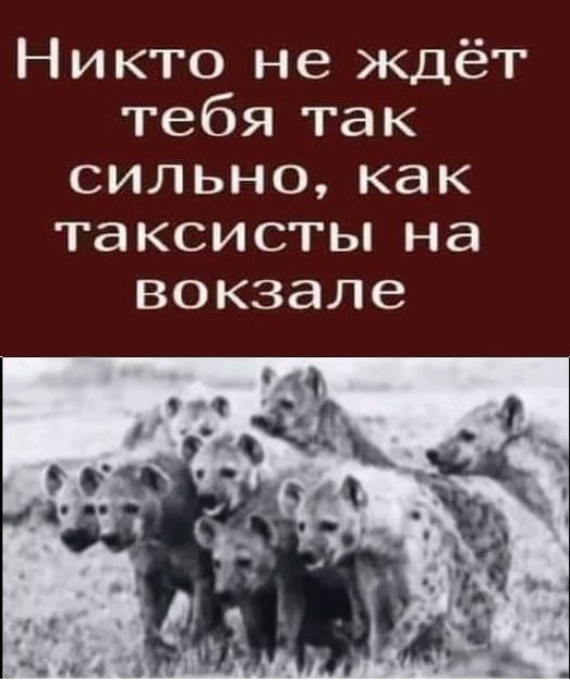 Картинки разные с надписями и без