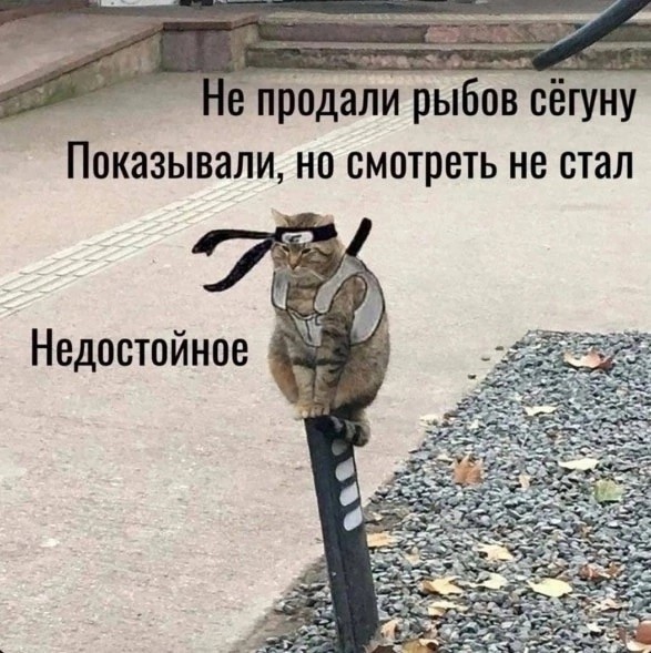 Так себе картинки 20.10.24