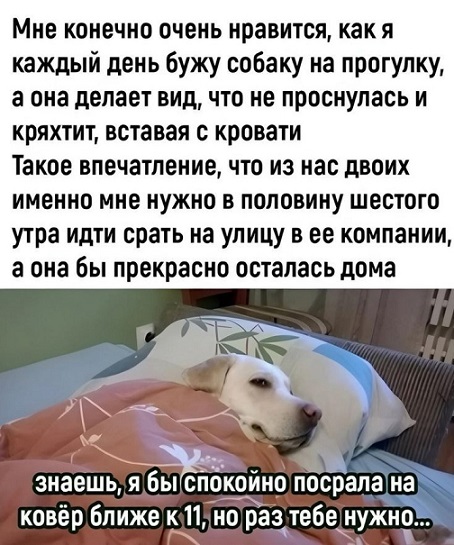У меня муж дома