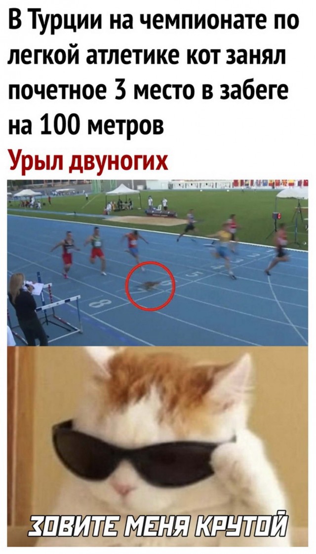 Так себе картинки 30.03.25