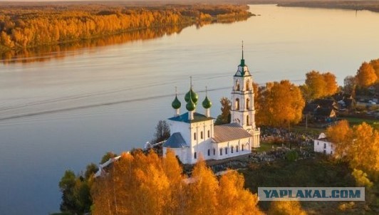 Цыгановы : « Это унизительная карикатура в духе дешевой анимации»