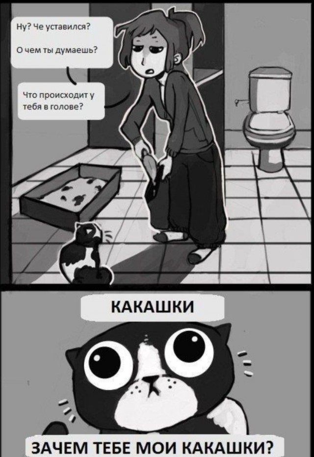 Картинки для деградации 103 (разной степени свежести)