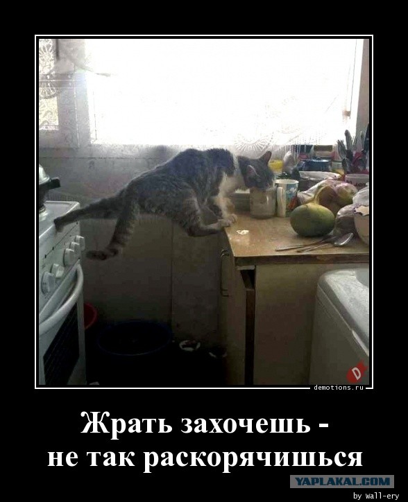Решил тут на каток сходить.