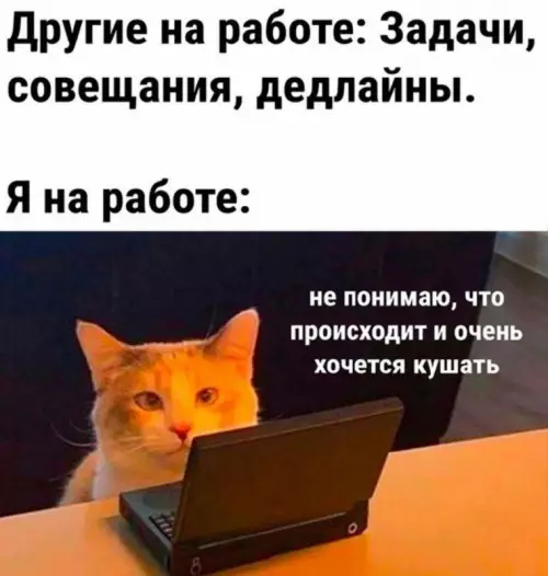 Картинки для деградации 119 (разной степени свежести)