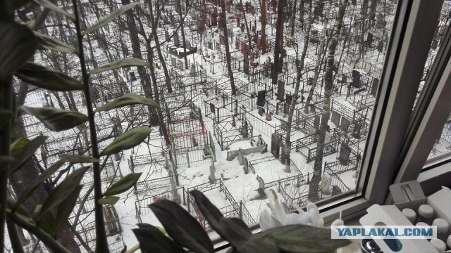 А давайте накидаем вид из своего окна