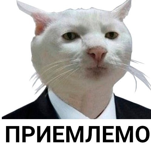 Американско-израильская военщина играет мускулами