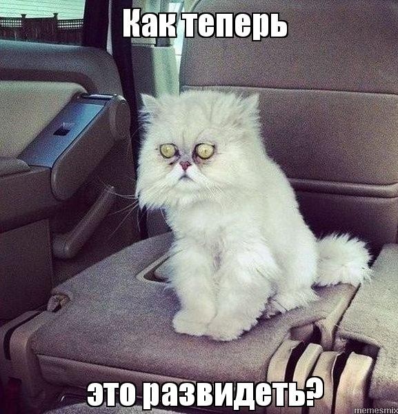 Я не жду, что кто-то рискнёт, или скажет - красивенькая... но может найдется хоть один смелый Яповец!