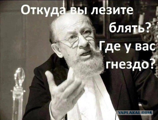 Ауууу!!!!! ЯПовчане!!! Где все???