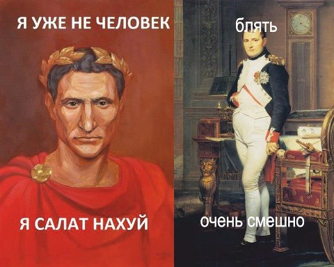 7 вещей, которые шокировали Наполеона в России.