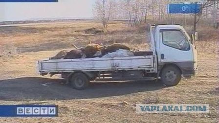 Берегись автомобиля.