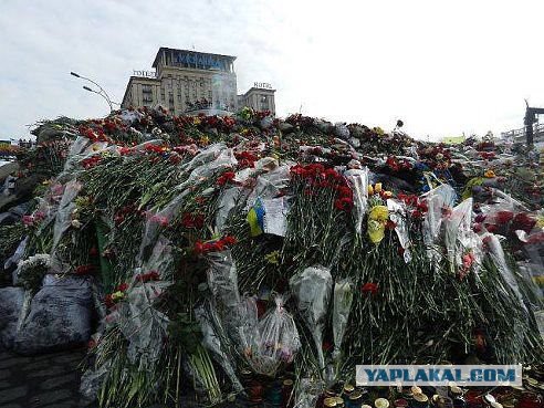 Мобиллизированые Украинские "вояки"