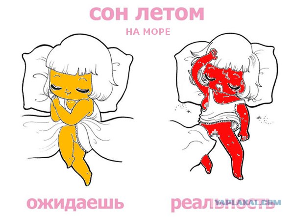 Сон в летнюю ночь
