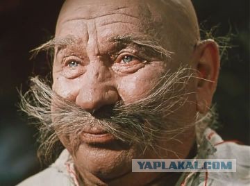 Что такое лень