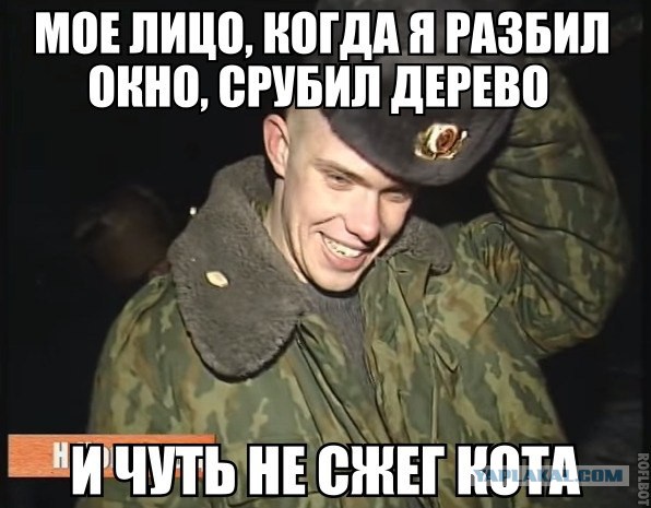 Спасение кота