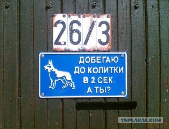 Весёлые картинки