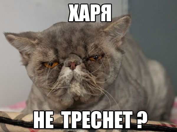 гимны Украины и России