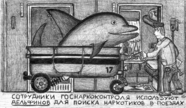 Жёсткие шишки