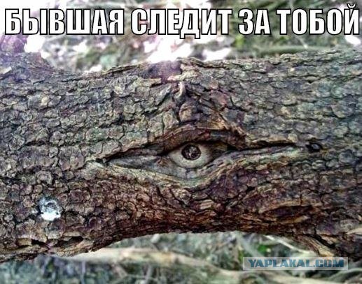 Картинки из сети