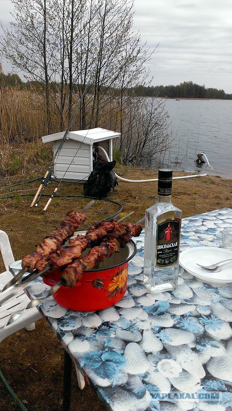 Всех С Днем Рыбака