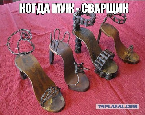 Картинки из кибер просторов