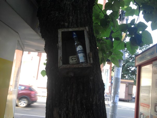 Веселые картинки