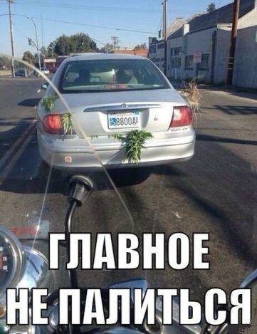 Тофик не выспался