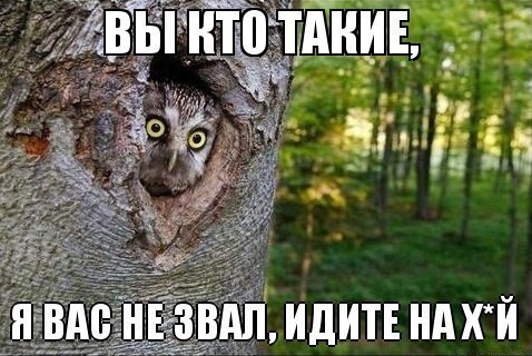 Картинки и демотиваторы