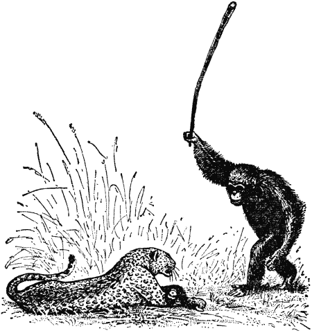 В Москве появились раздетые политики. Граффити такое