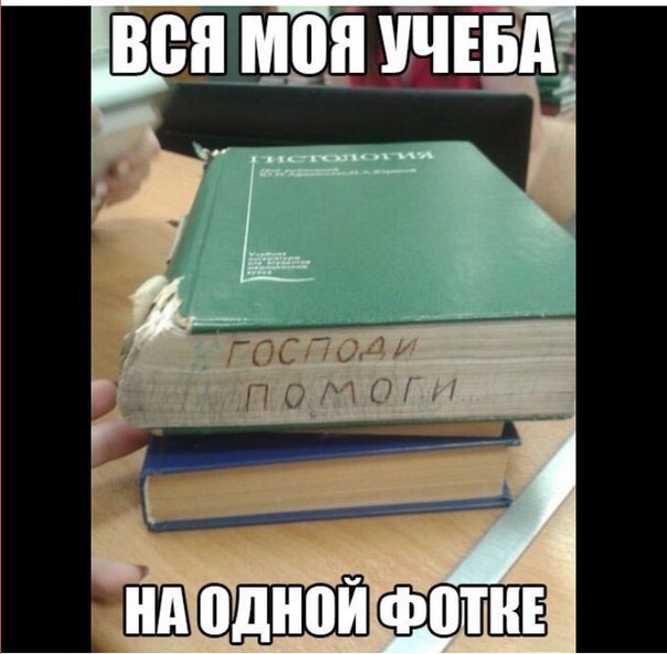 Подборка картинок из Ваших интернетов