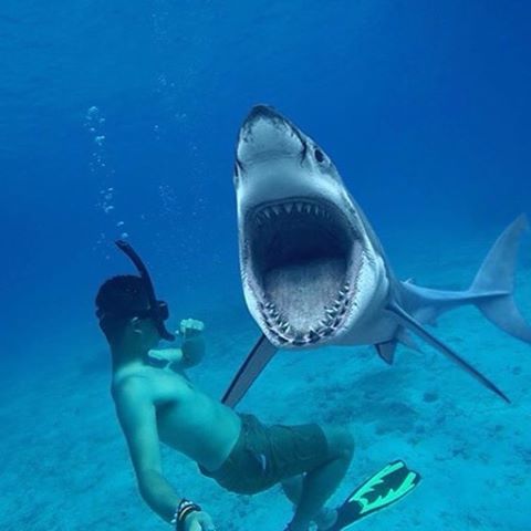 Веселые картинки