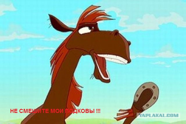 ДПС вымогает деньги у туристов города - курорта Сочи (пришел ответ)