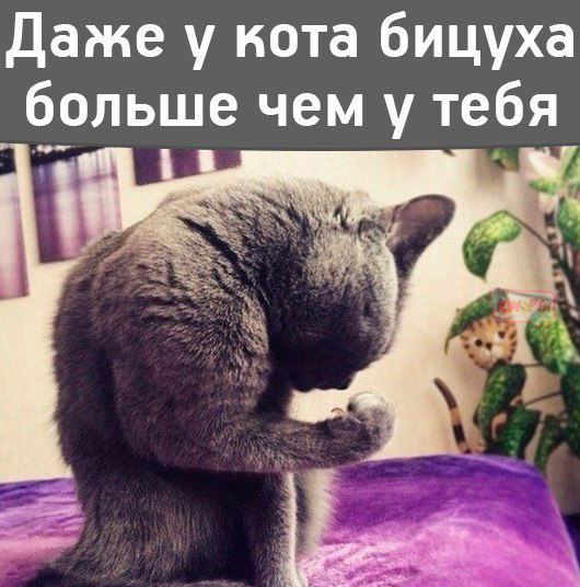 Порция позитива на вторник