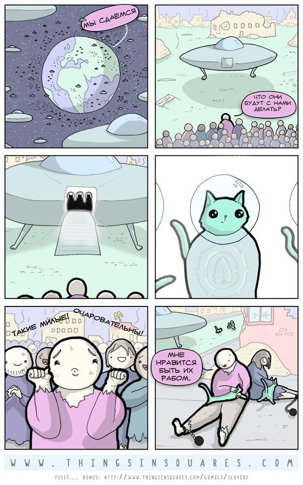 Котёнок с улицы