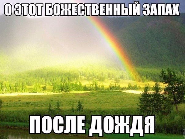 Подборка картинок с просторов...