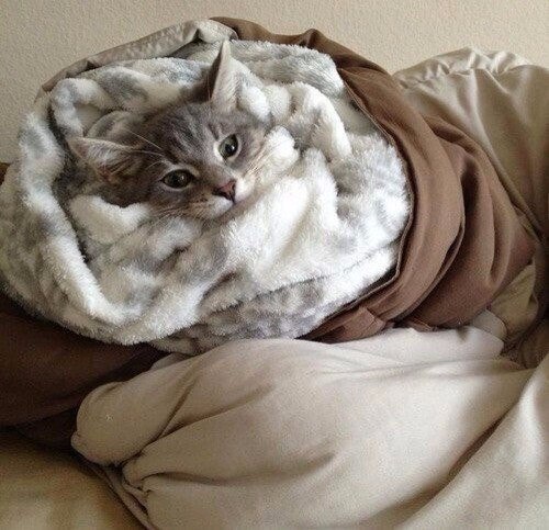 Разные картинки из сети