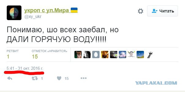 Смешные комментарии из социальных сетей 18.11.2016