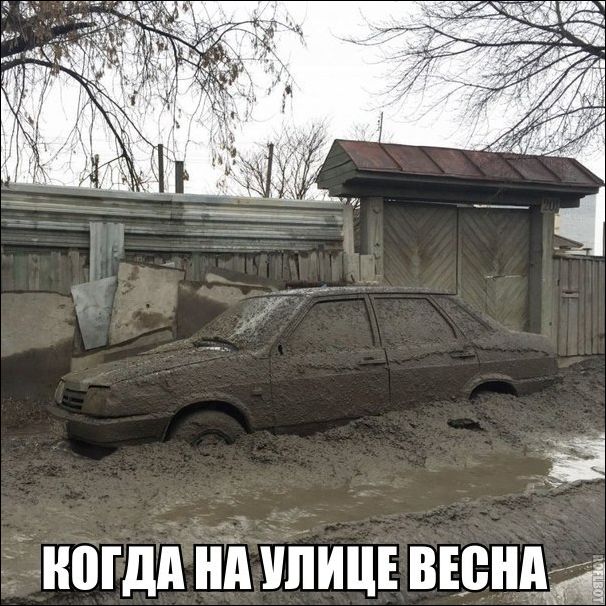 Подборка безудержного веселья