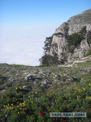 По майскому Крыму