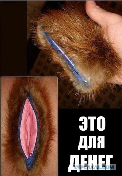 Девушка очень доходчиво объяснила разницу между изнасилованием и сексом по согласию